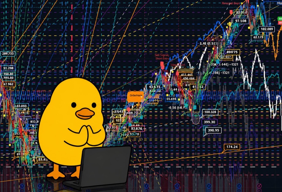 Duky watching a chaotic wall of market charts